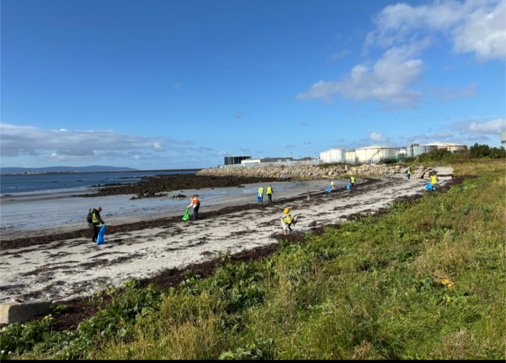 Beach clean, 2025